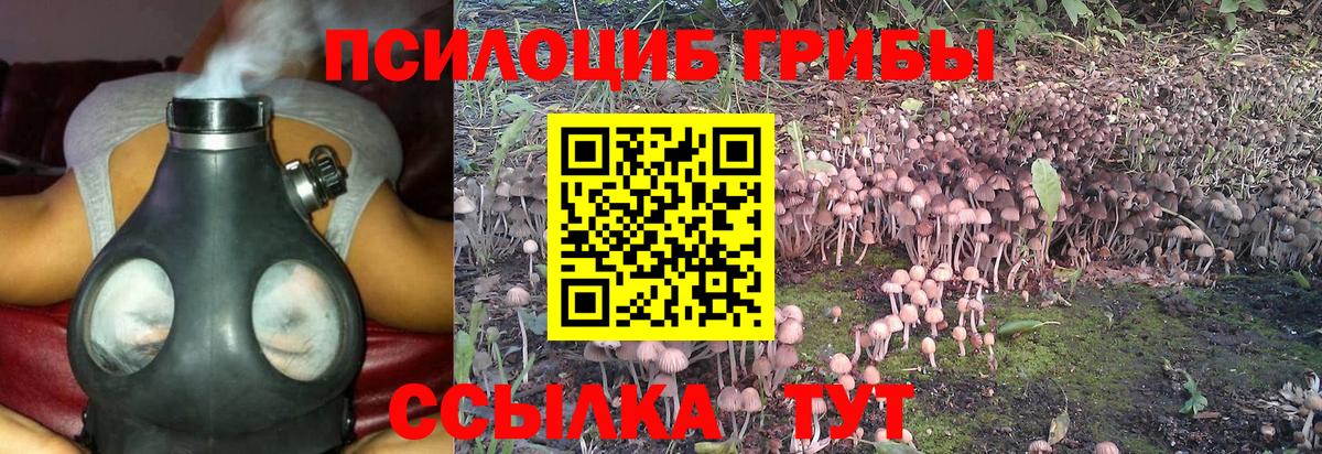 Ялта  Галлюциногенные грибы прущие грибы  Галлюциногенные грибы прущие грибы  Вход с VPN 