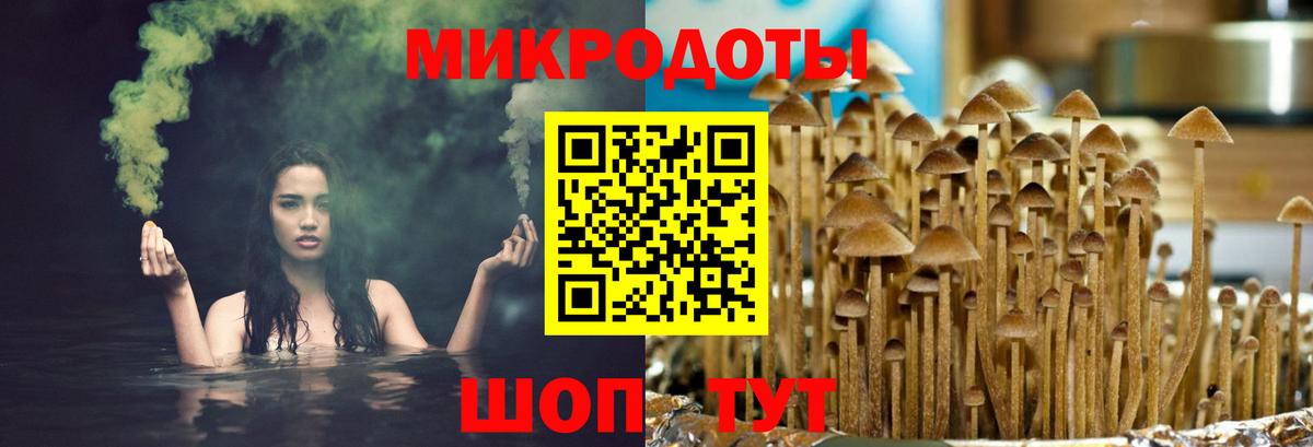 Псилоцибиновые грибы ЛСД Ялта